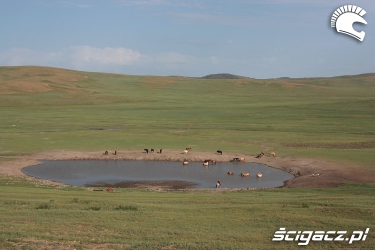 5911 Mongolskie krajobrazy