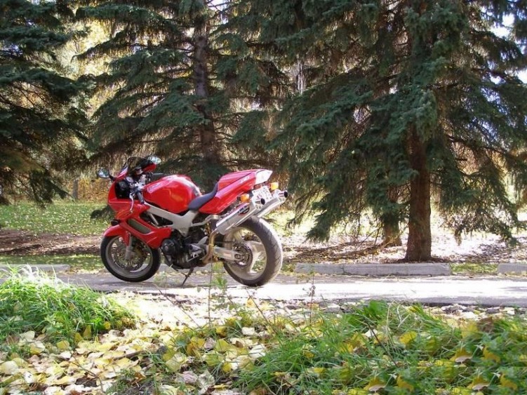vtr1000F red