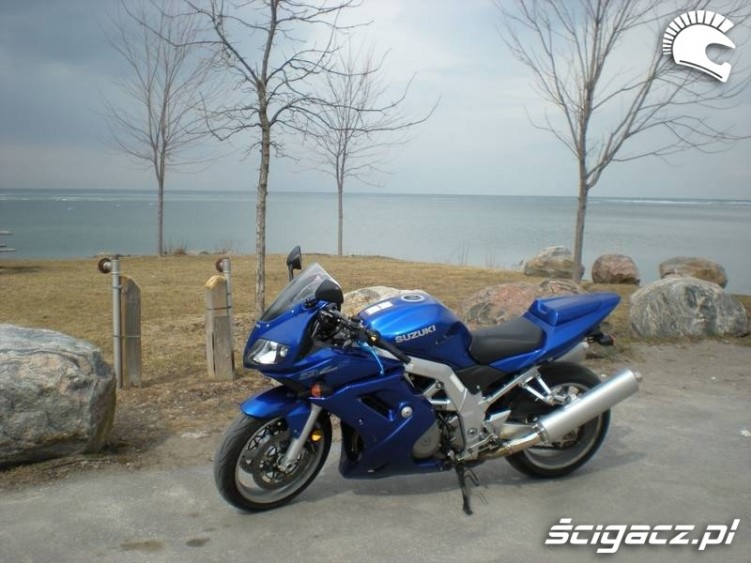 Suzuki 1000 sv blue