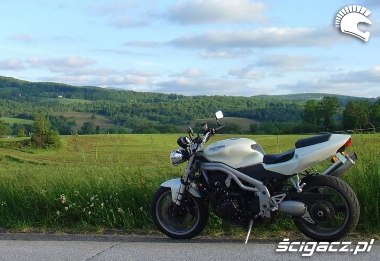 Speed Triple 955 bialy