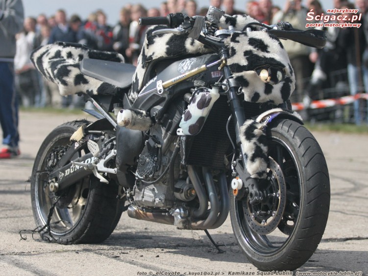 kamikaze r1 krowka 1024 768