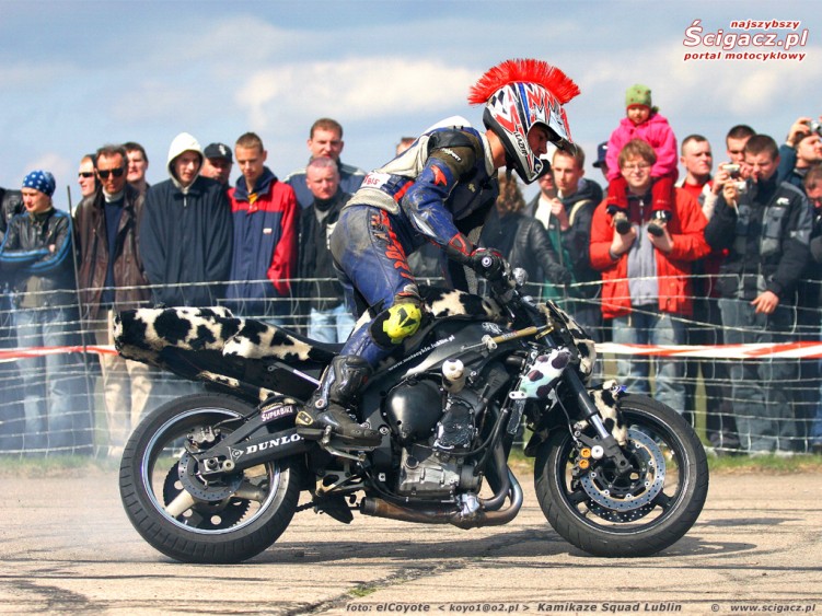 raptowny pali krowke 1024 768