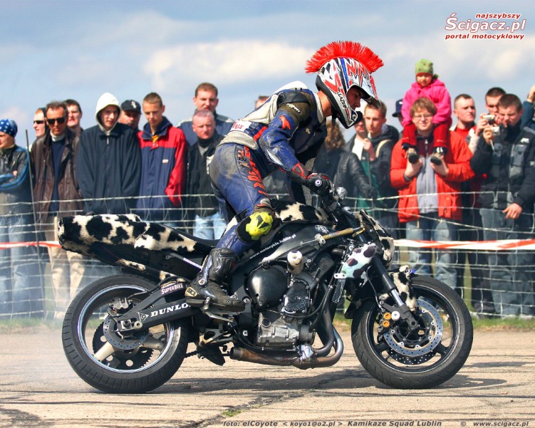 raptowny pali krowke 1280 1024