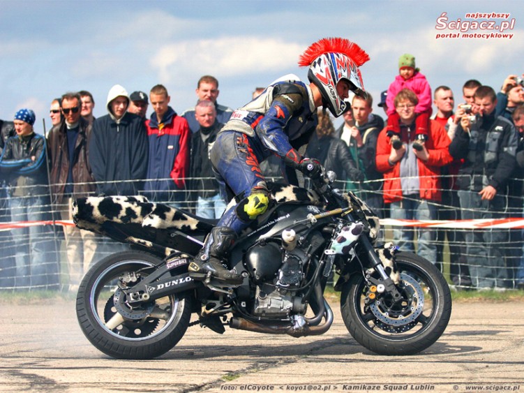 raptowny pali krowke 800 600