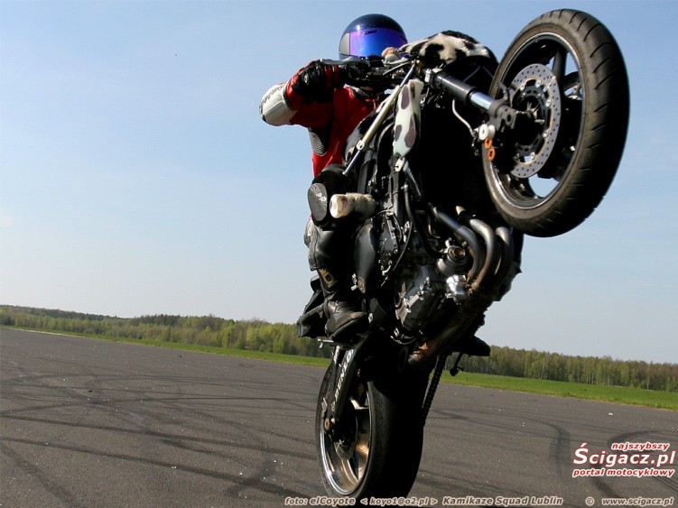 dzejkob wh lot 1024 768