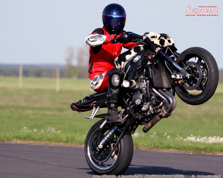 dzejkob wh lot krow 1280 1024