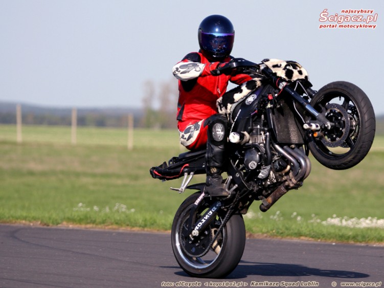 dzejkob wh lot krow 800 600