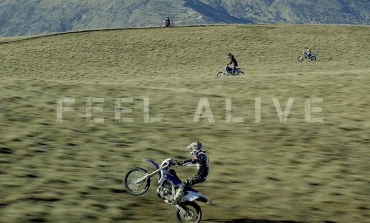 feel alive