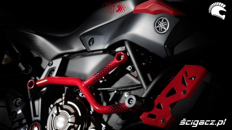 Yamaha MT07 Moto Cage 12