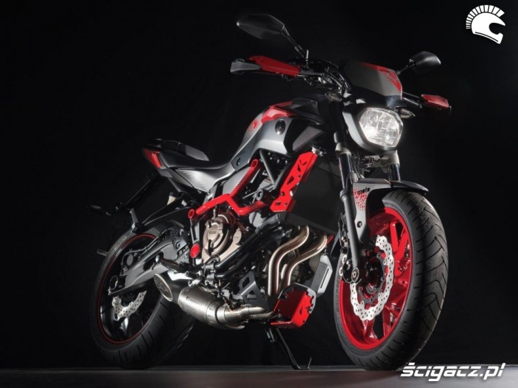 Yamaha MT07 Moto Cage 21