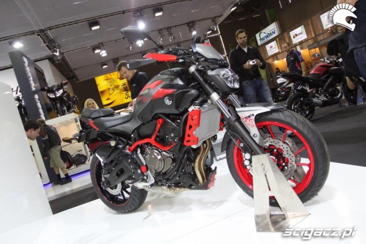 Yamaha MT07 Moto Cage 5