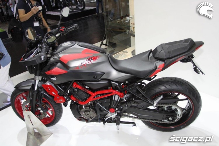 Yamaha MT07 Moto Cage 6