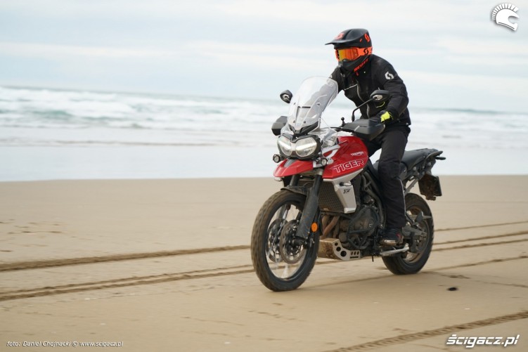 nowy tiger 800 test