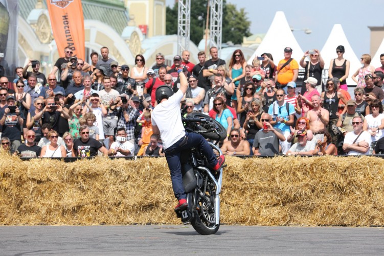 Maciej DOP Harley Davidson Stunt 04