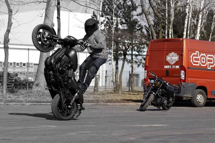 Maciej DOP Harley Davidson Stunt 08