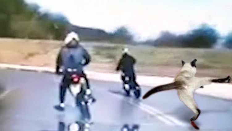 dwoch nastolatkow ucieka droga serwisowa przed grupa speed bialystok laski