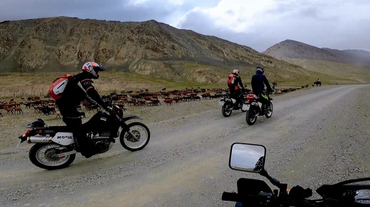 Cardo Packtalk Bold test w grupie 9 motocykli 2000 km w Kirgistanie