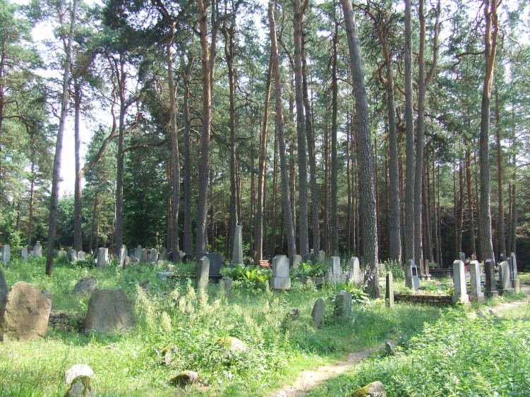 07 Mizar cmentarz tatarski w Kruszynianach