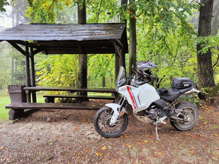 11 Ducati DesertX w lesie