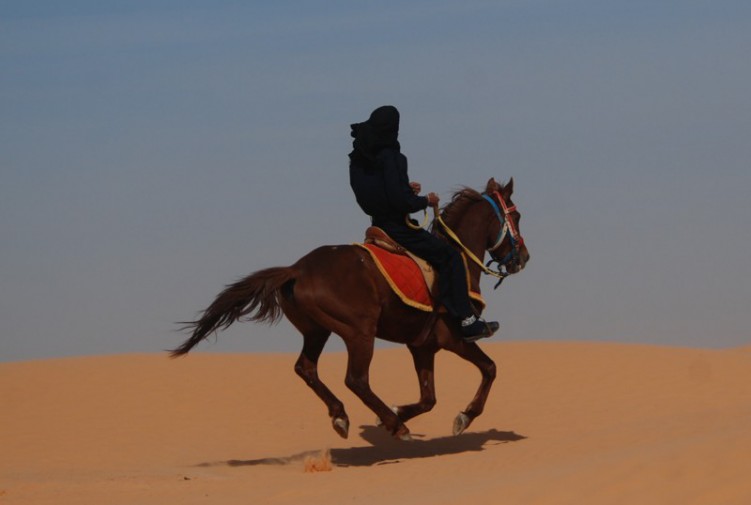 Jazda koniem na pustyni