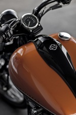 Blackline 2011 - Harley-Davidson (6)