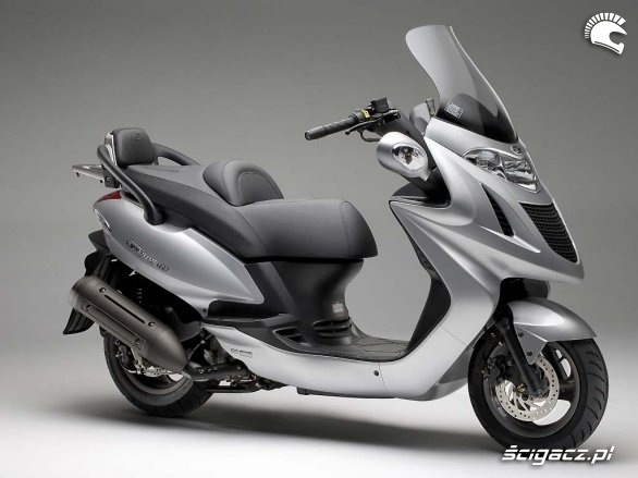 Grand Dink 2011 Kymco