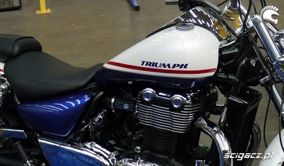 logo triumph