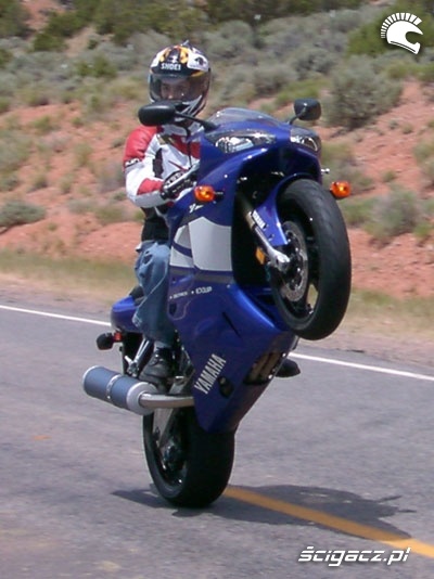 yamaha r1 guma wheelie