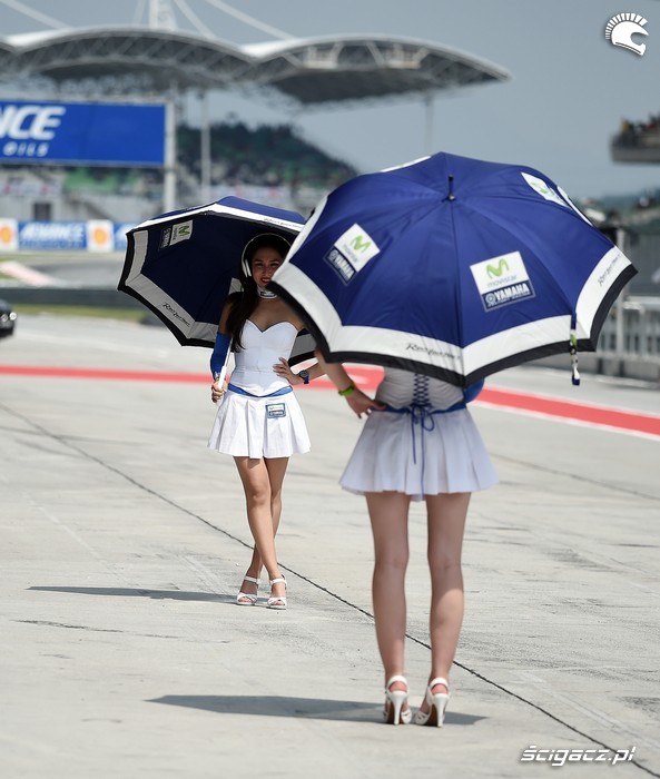 dziewczyny z parasolkami sepang 2014