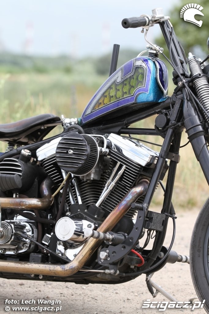 33 Harley Davidson Softail Evo Custom poza