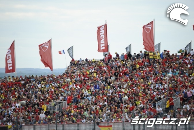 Sektor Ducati MotoGP