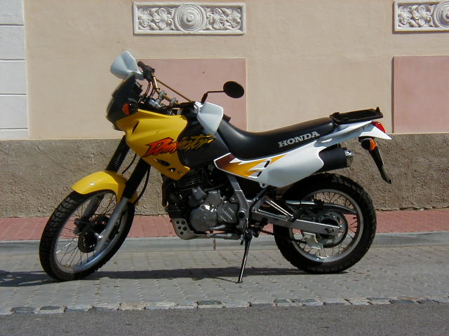 nx650dominator1