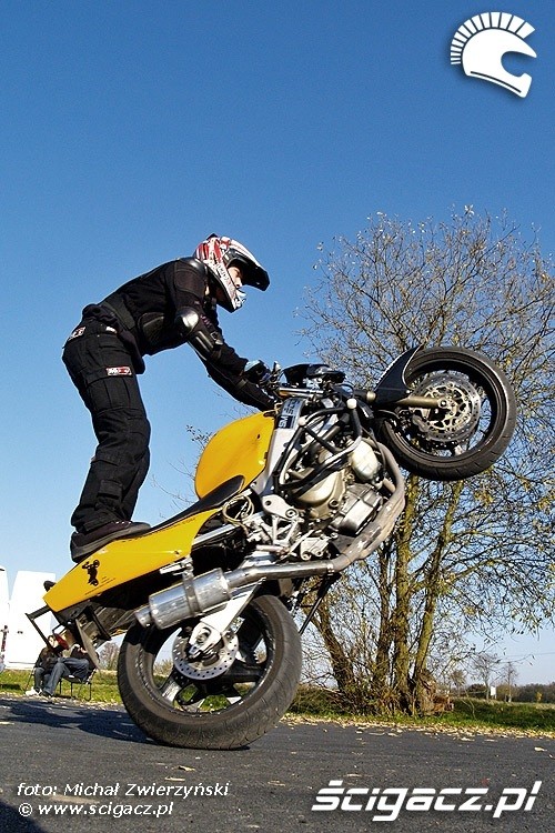 kubaFRS wheelie