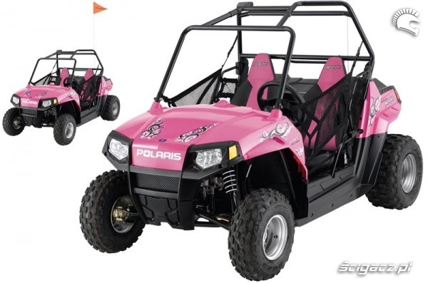 Polaris Ranger le-rzr170-pinkpower