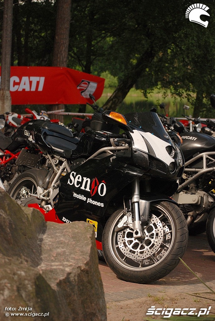 Ducati Senso Mobile Phone paiting