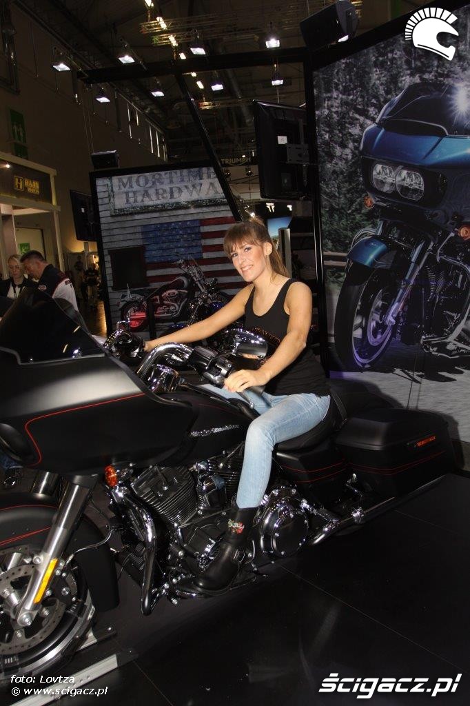 Harley Intermot 2014