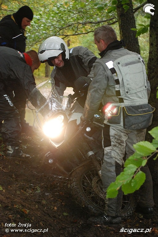 Gleba na motocyklu w lesie