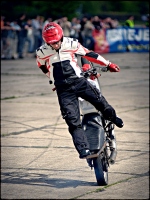 zoltan wheelie tylem