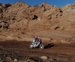 Cyril Despres Rajd Dakar 2011 etap 11