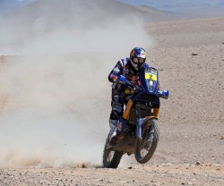 Cyril Despres Dakar 2011