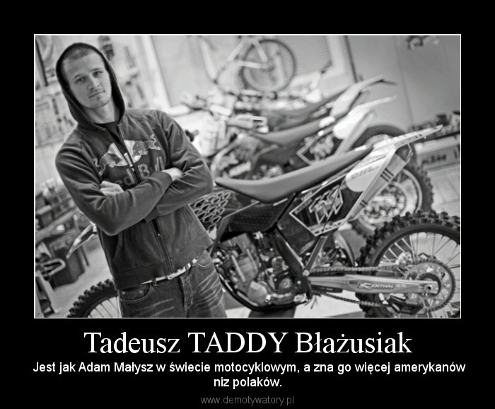 Taddy demotywator