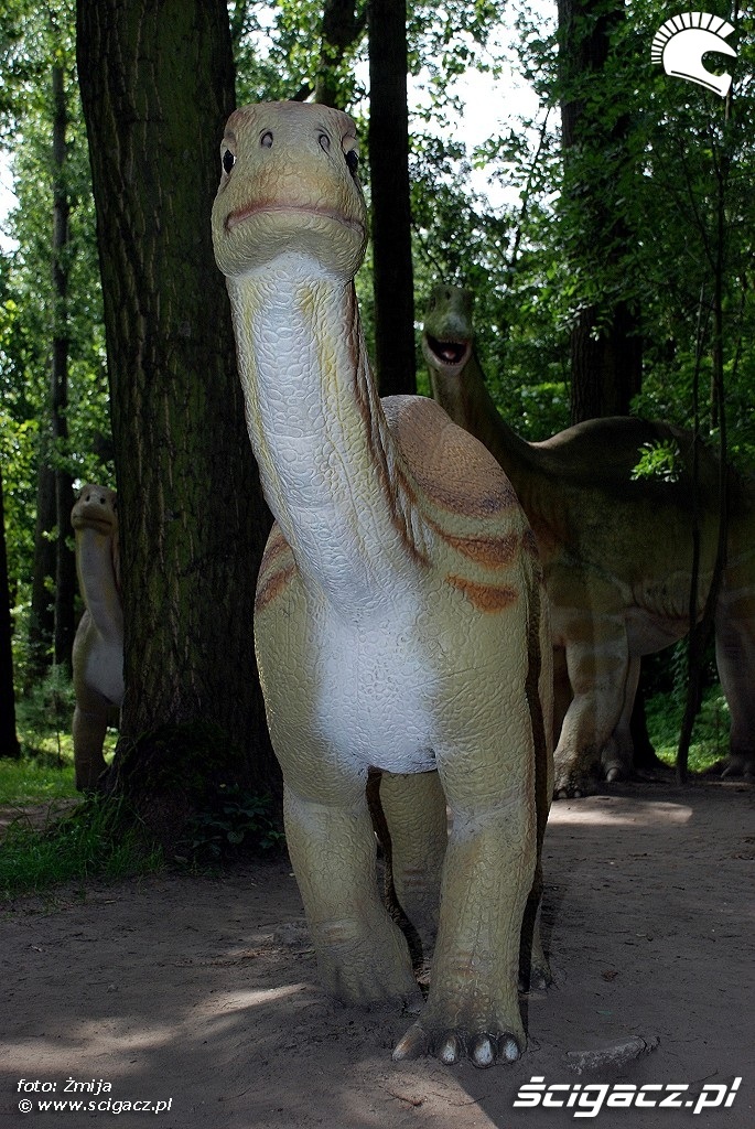 Dinozaur Zaurolandia