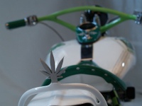 1-cannabis-studio-06