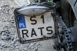 Honda Shadow Rat Bike 31