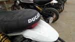 Logo Ducati Scrambler Desert Sled