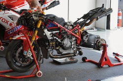Ducati Xerox Superbike Streaptease