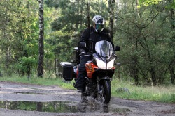 w mokrym lesie Suzuki DL650 test