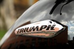 logo Triumph Thunderbird Storm