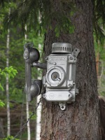 telefon na drzewie