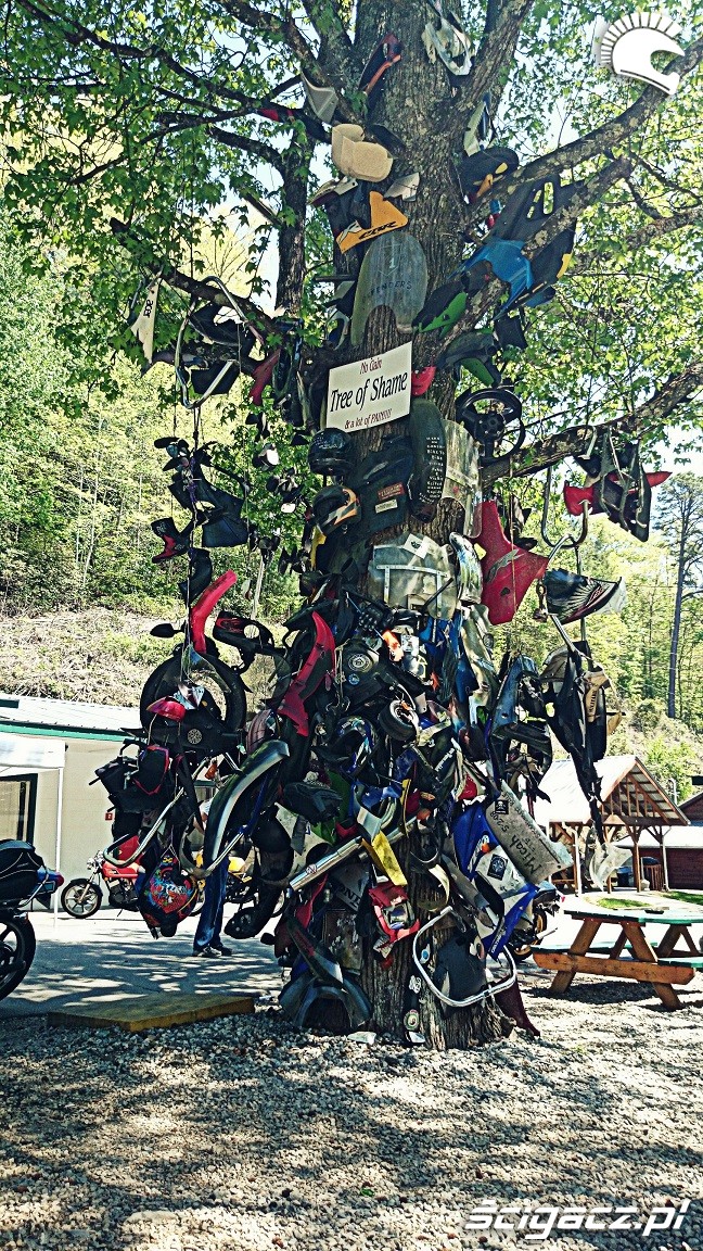 drzewko wyprawa motocyklowa